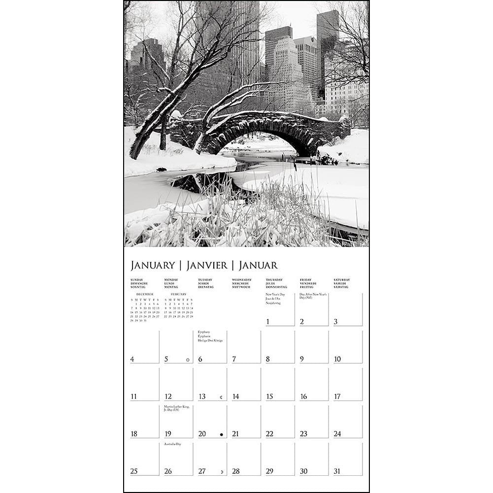 New York 2015 Mini Wall Calendar