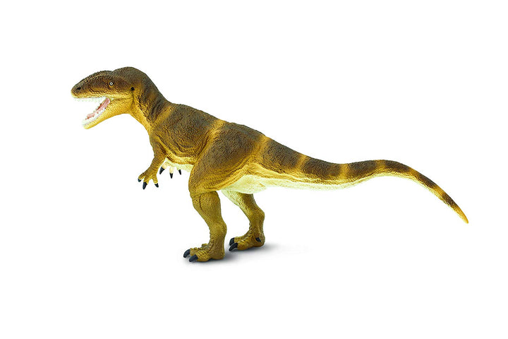 9.5 Inch Carcharodontosaurus Dinosaur