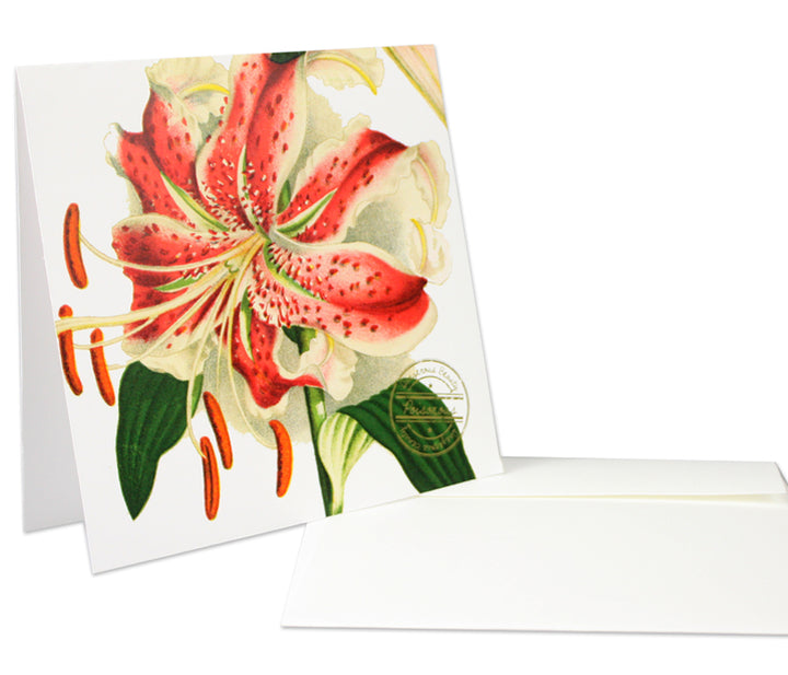 Dangerous Beauty Note Card