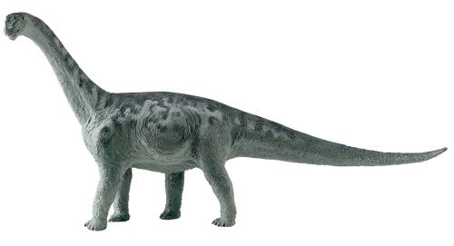 Camarasaurus Replica