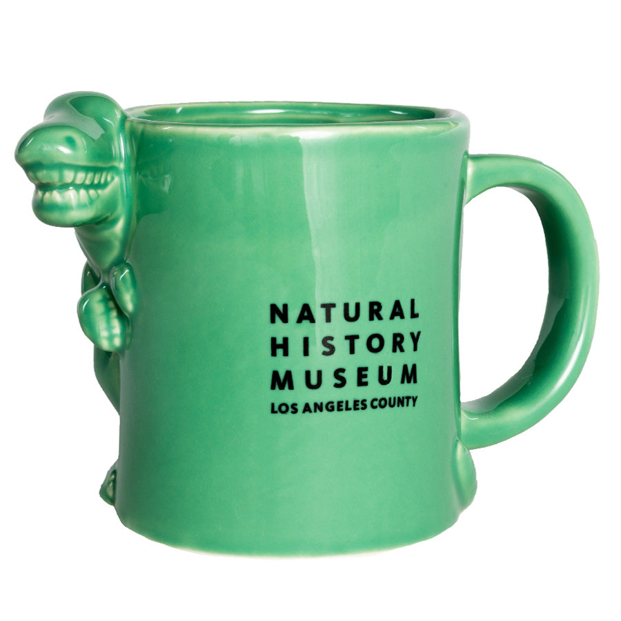 Raw Silk Extraordinary Rare Birds Pillow