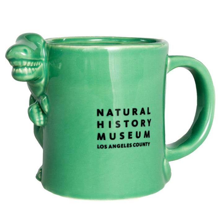 Raw Silk Extraordinary Rare Birds Pillow