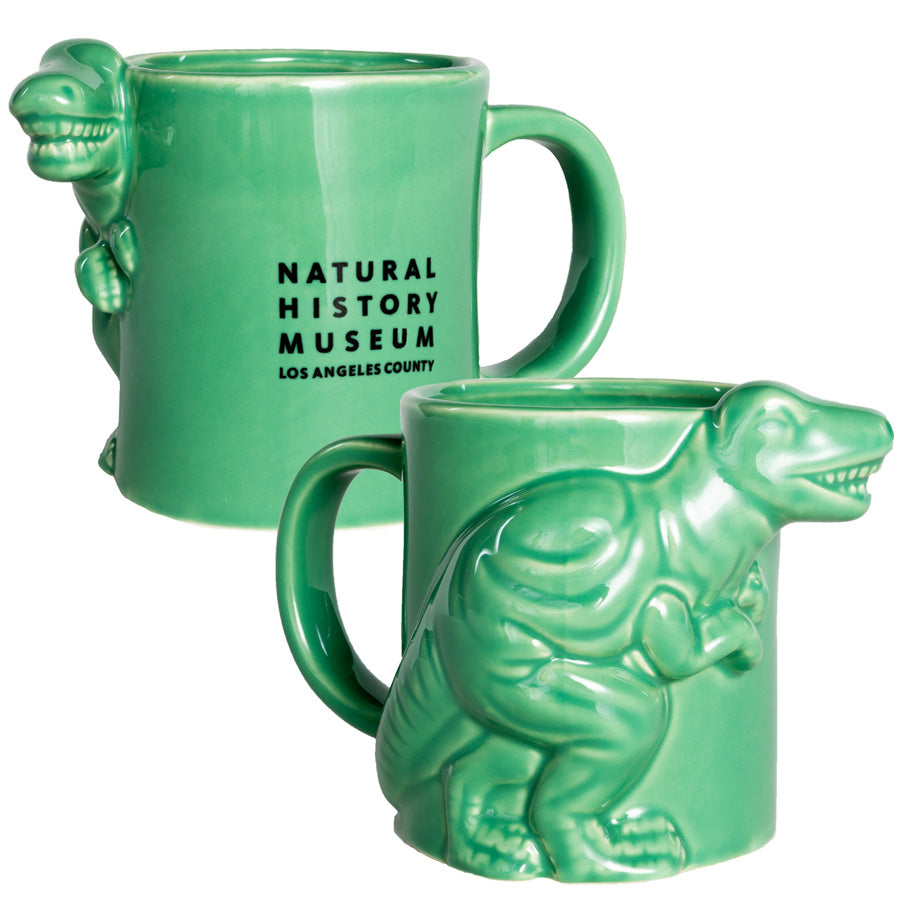 Raw Silk Extraordinary Rare Birds Pillow