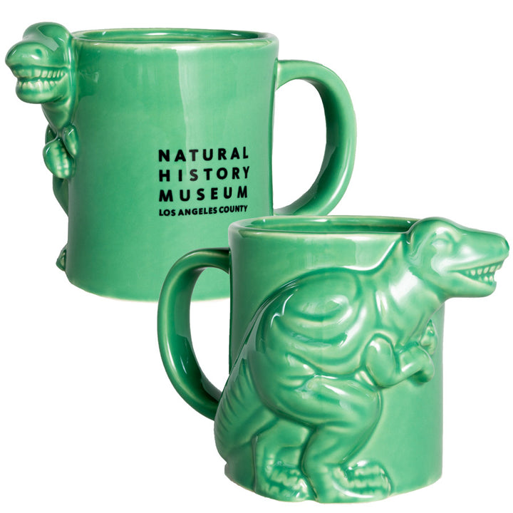 Raw Silk Extraordinary Rare Birds Pillow