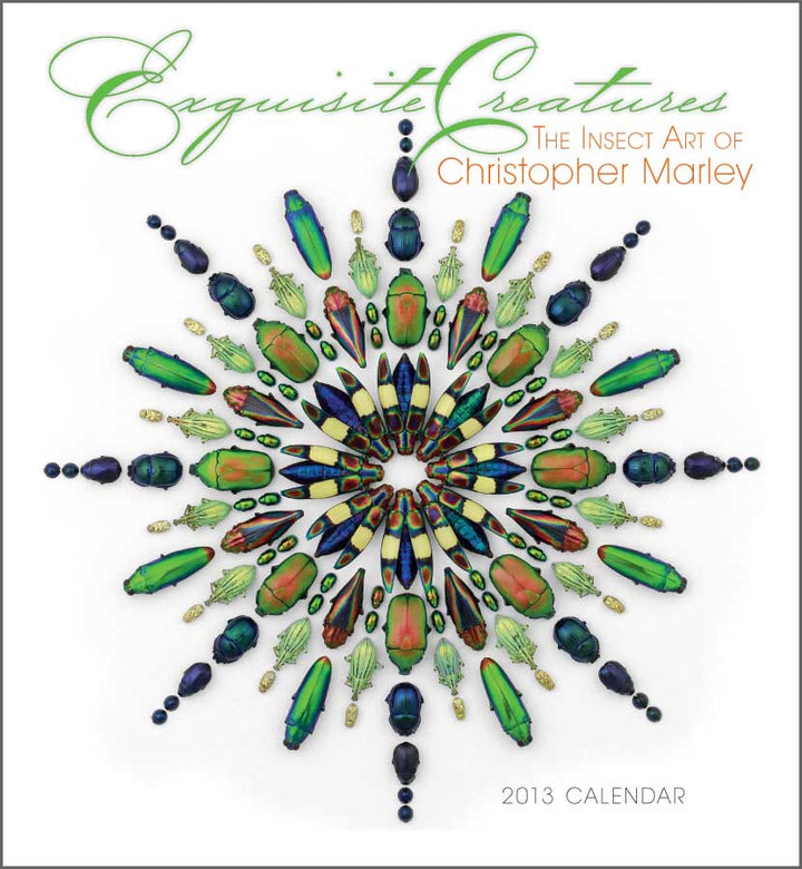 Exquisite Creatures:  The Insect Art of Christopher Marley 2013 Calendar