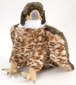 Plush Red Tailed Hawk