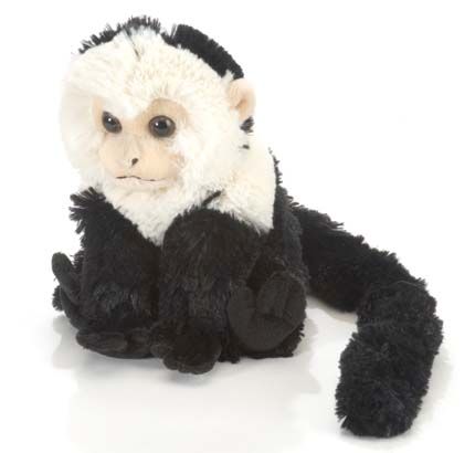 Plush Capuchin
