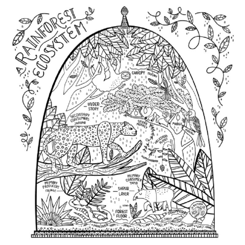 The Wondrous Workings of Science and Nature Coloring Book
