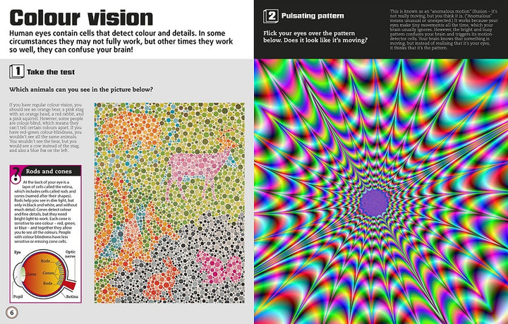 Color Illusions Interactive Book