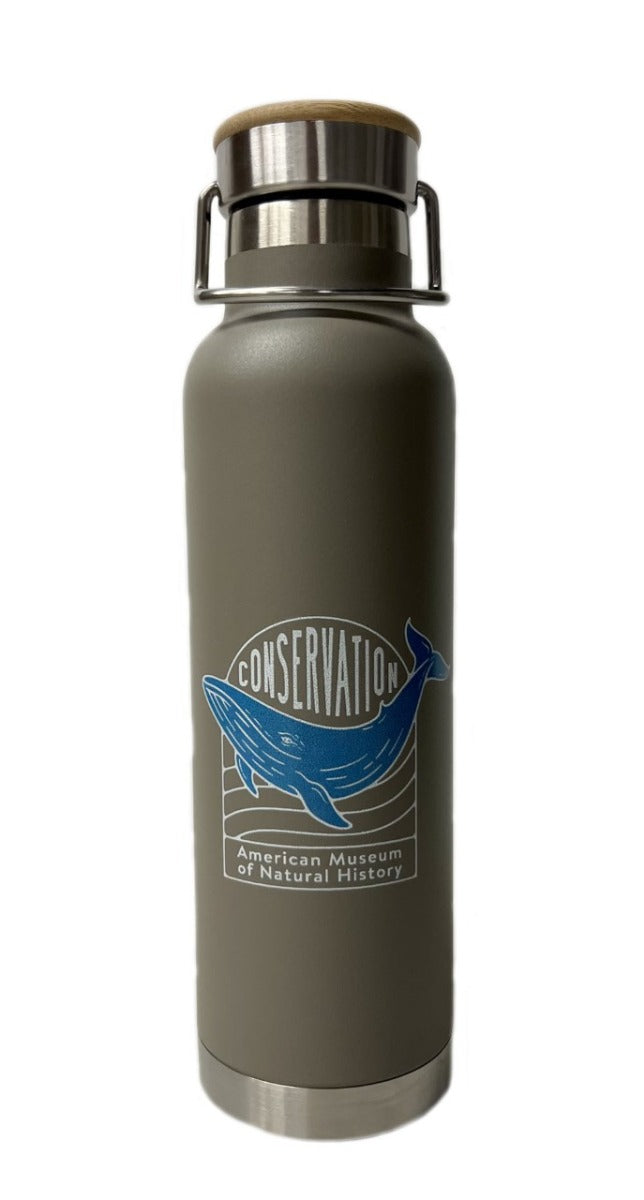 AMNH Conservation Blue Whale Stainless Steel Water Bottle