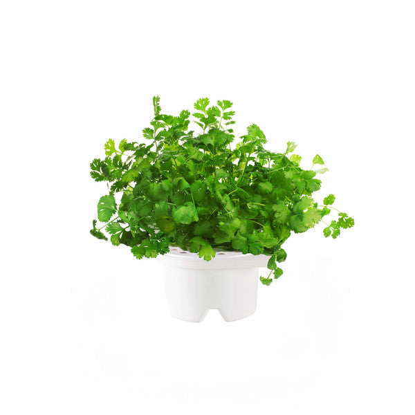 Click & Grow Herb  Refill Kits