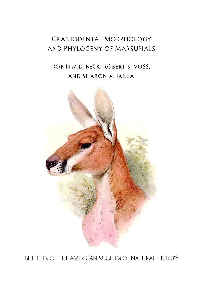 B457 Craniodental Morphology and Phylogeny of Marsupials