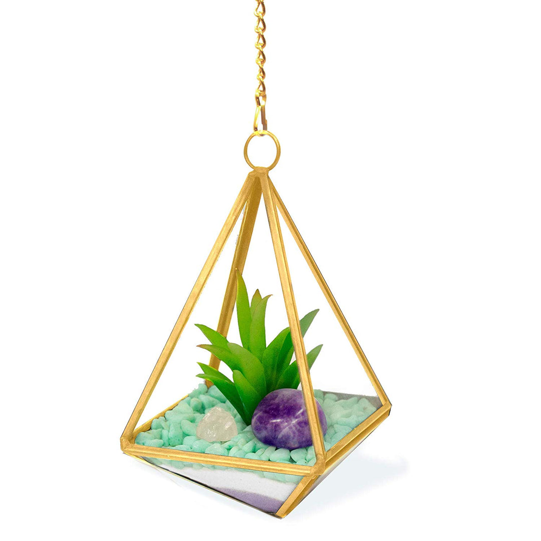 Do It Yourself Crystal Terrarium Kit