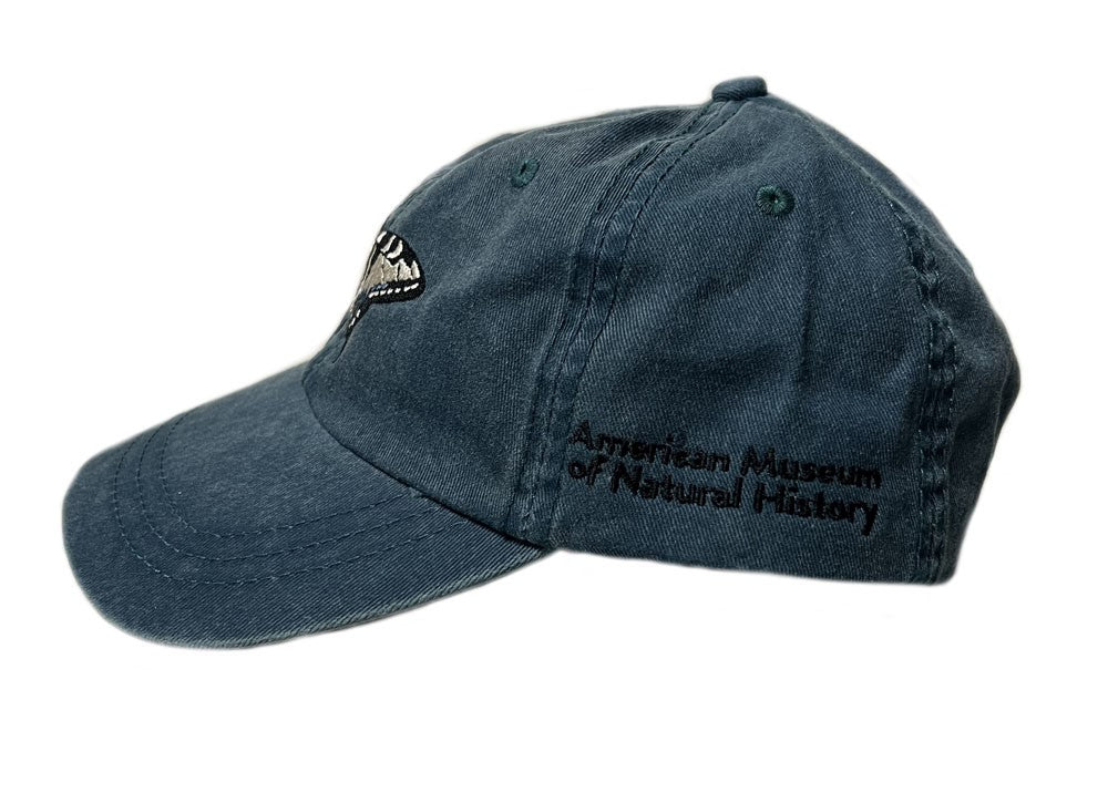 Adult AMNH Embroidered Denim Butterfly Cap Side
