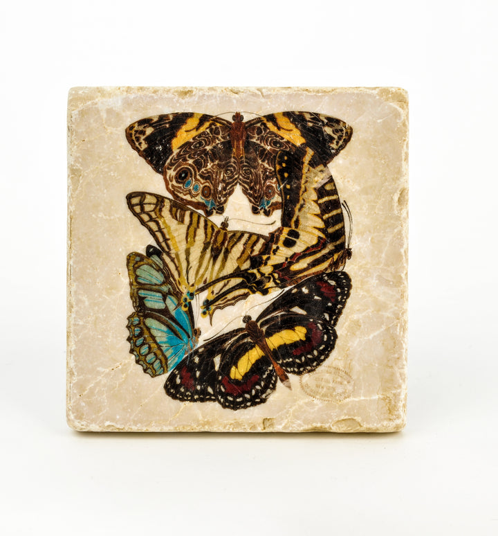 Butterfly Coaster