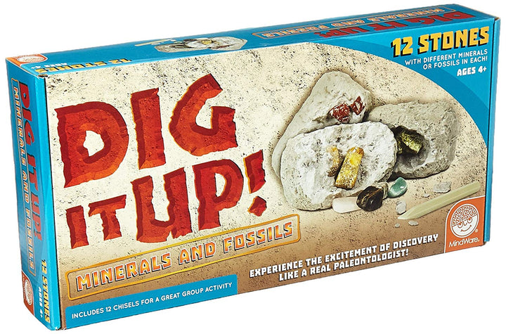 Dig It Up Minerals and Fossils Kit