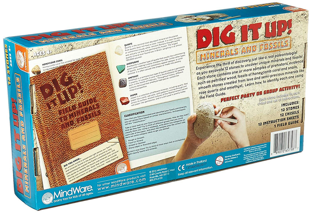 Dig It Up Minerals and Fossils Kit