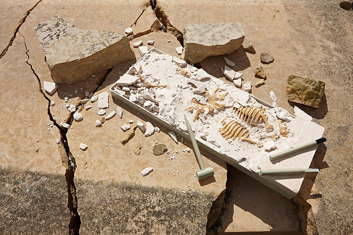 Dig It Up Triceratops Kit