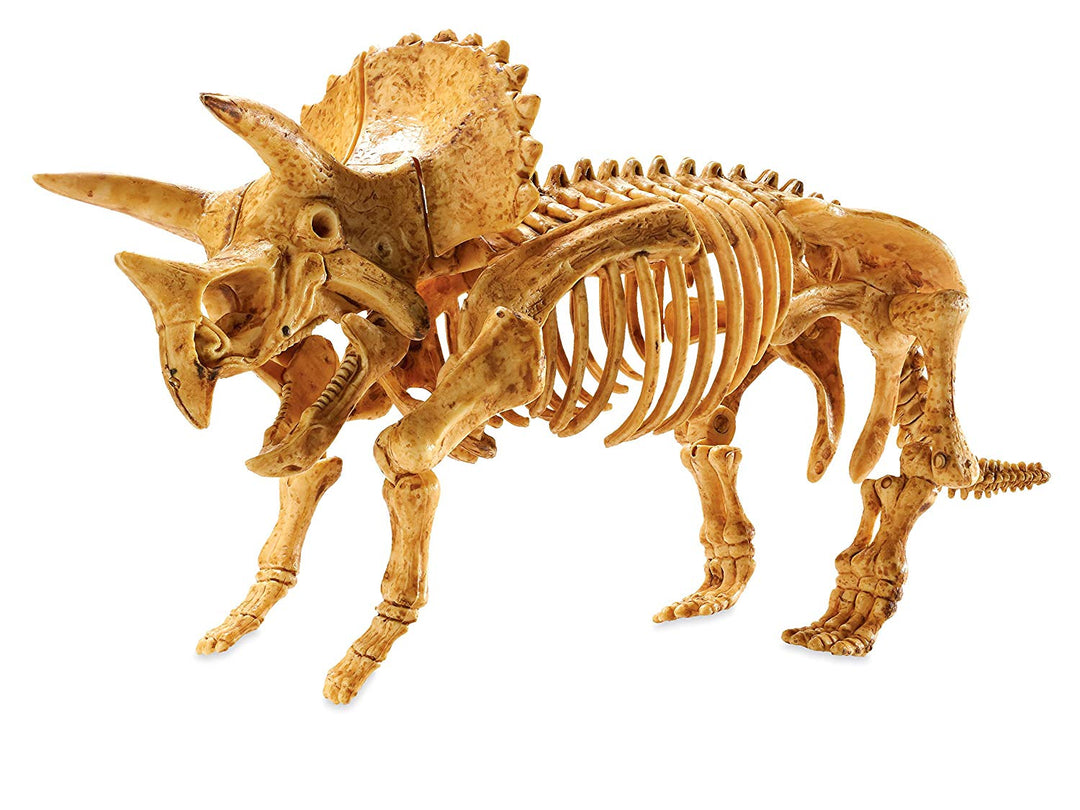 Dig It Up Triceratops Kit