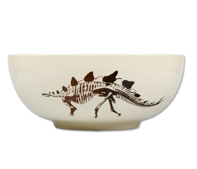Ceramic Dinosaur Fossil Salad Bowl