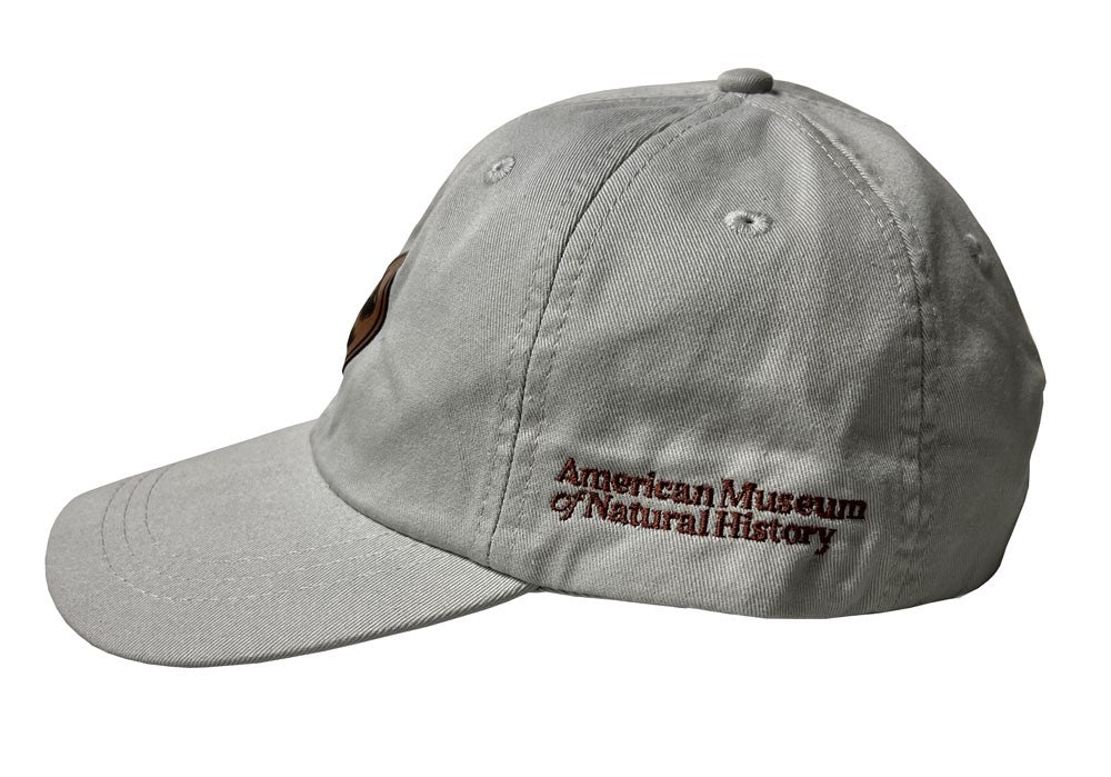Adult AMNH Pale Gray Dino Patch Cap Side View