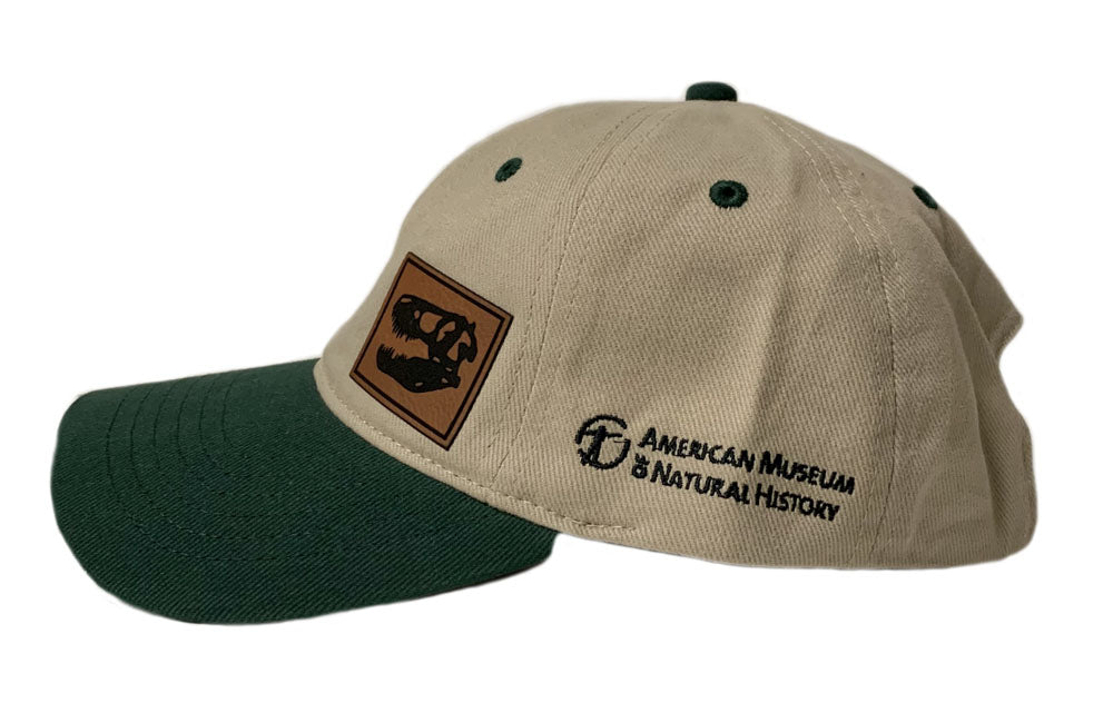 Two-Tone T.Rex Skull Patch Cap