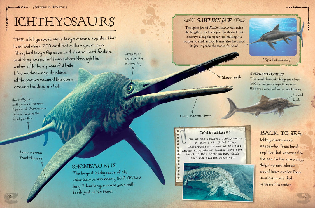 Dinosaur Bones And What They Tell Us