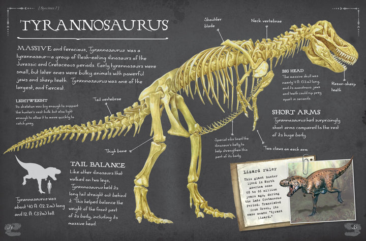 Dinosaur Bones And What They Tell Us
