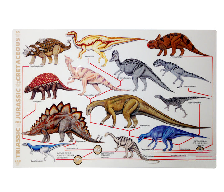 Dinosaur Cladistics Placemat