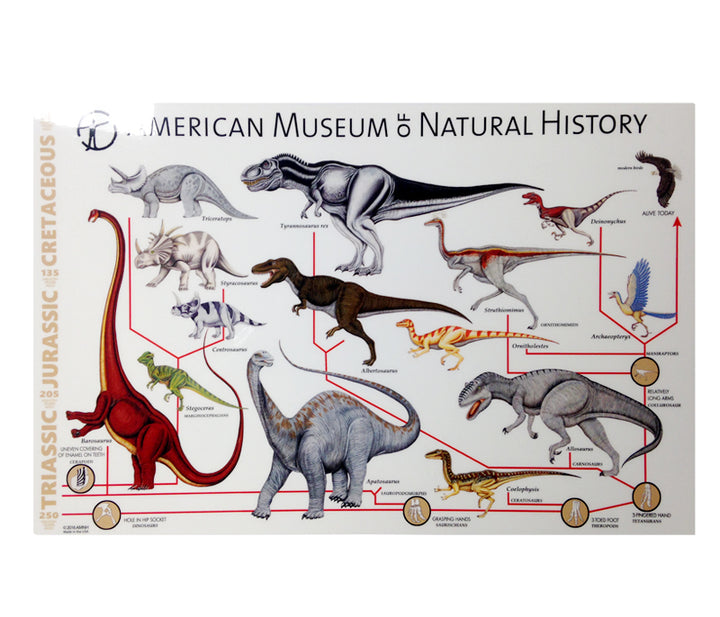 Dinosaur Cladistics Placemat