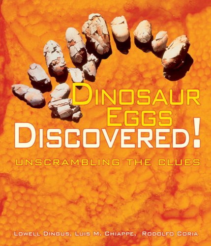 Dinosaur Eggs Discovered: Unscrambling the Clues