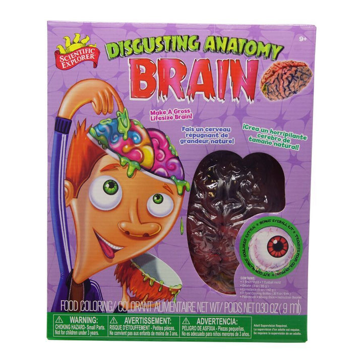 Disgusting Anatomy Brain