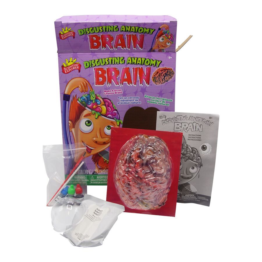 Disgusting Anatomy Brain