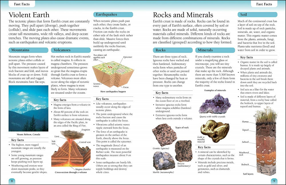 DK Eyewitness Workbooks: Earth