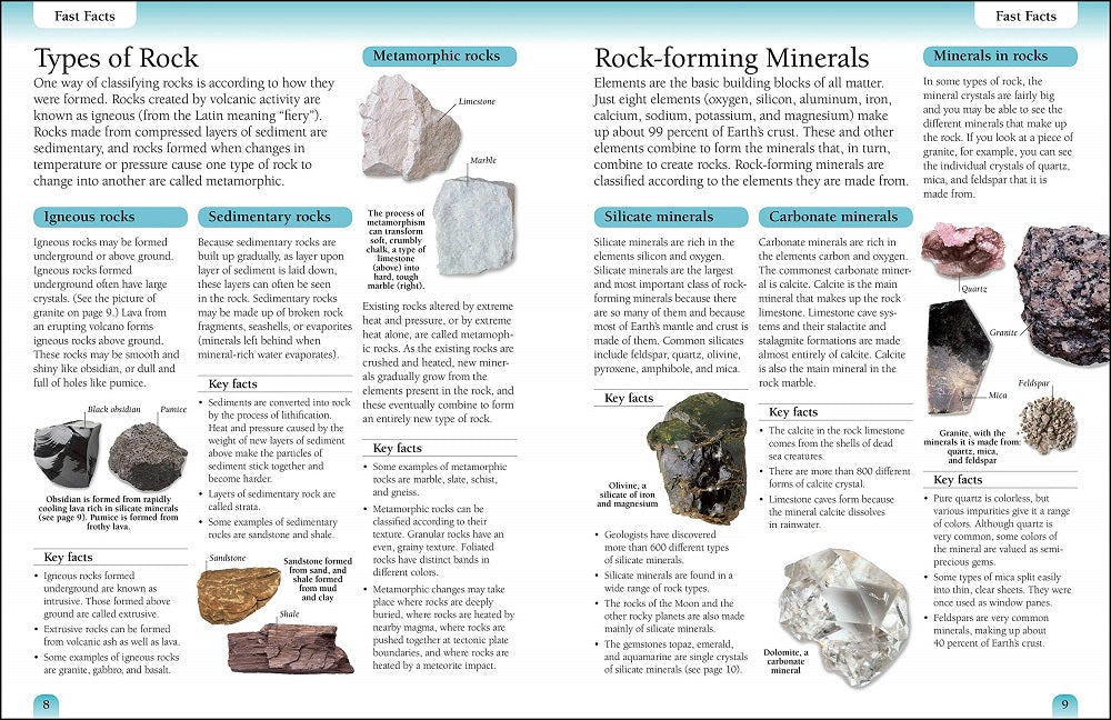 DK Eyewitness Workbooks Rocks and Minerals