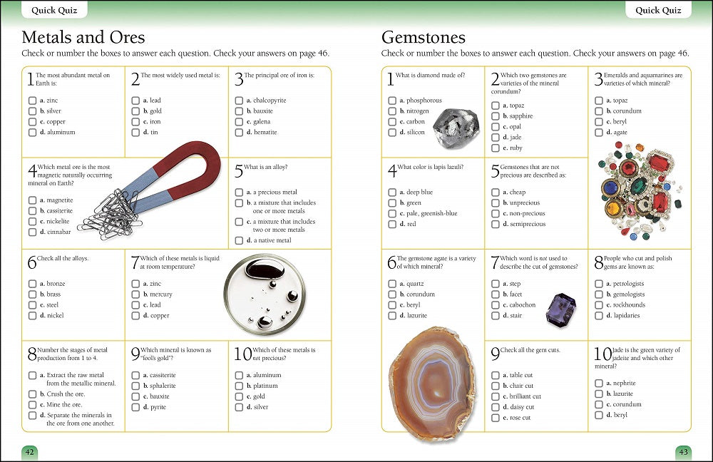 DK Eyewitness Workbooks Rocks and Minerals