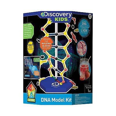 DNA Model Kit