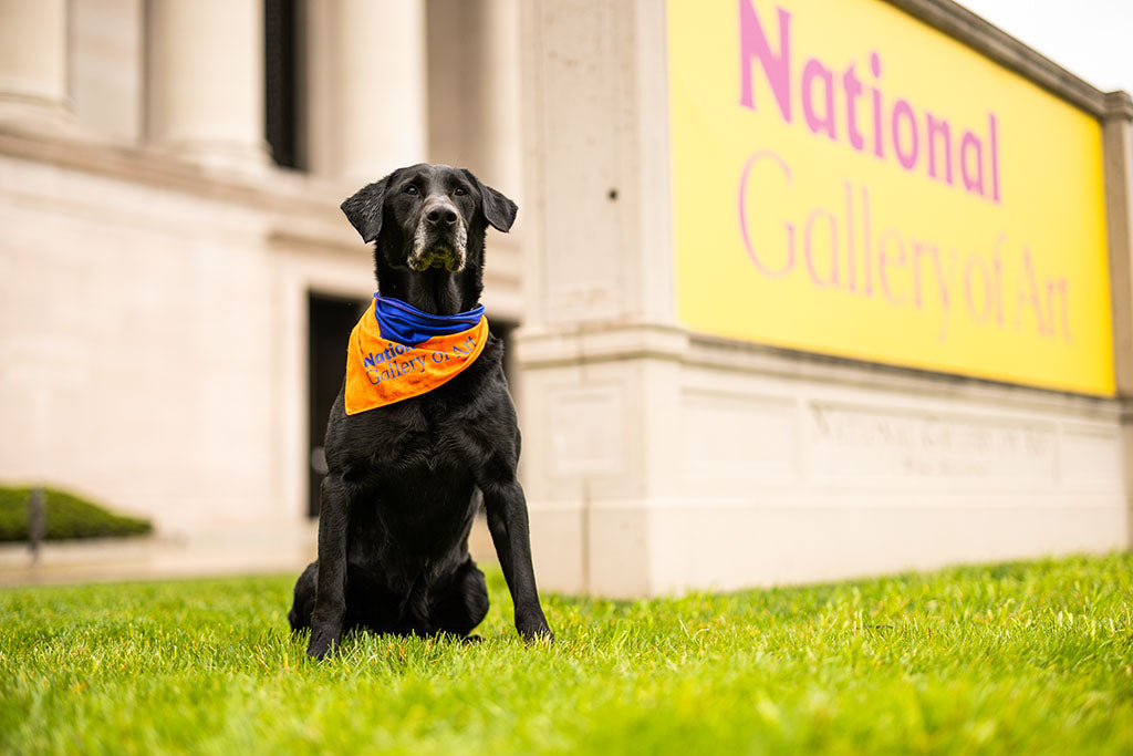 National Gallery of Art Pet Bandana