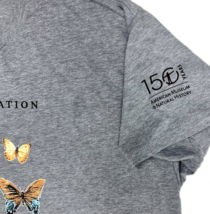 Adult Ladies Dolman Cut Butterflies Top