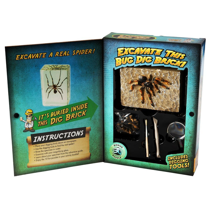 Spider Dig Kit