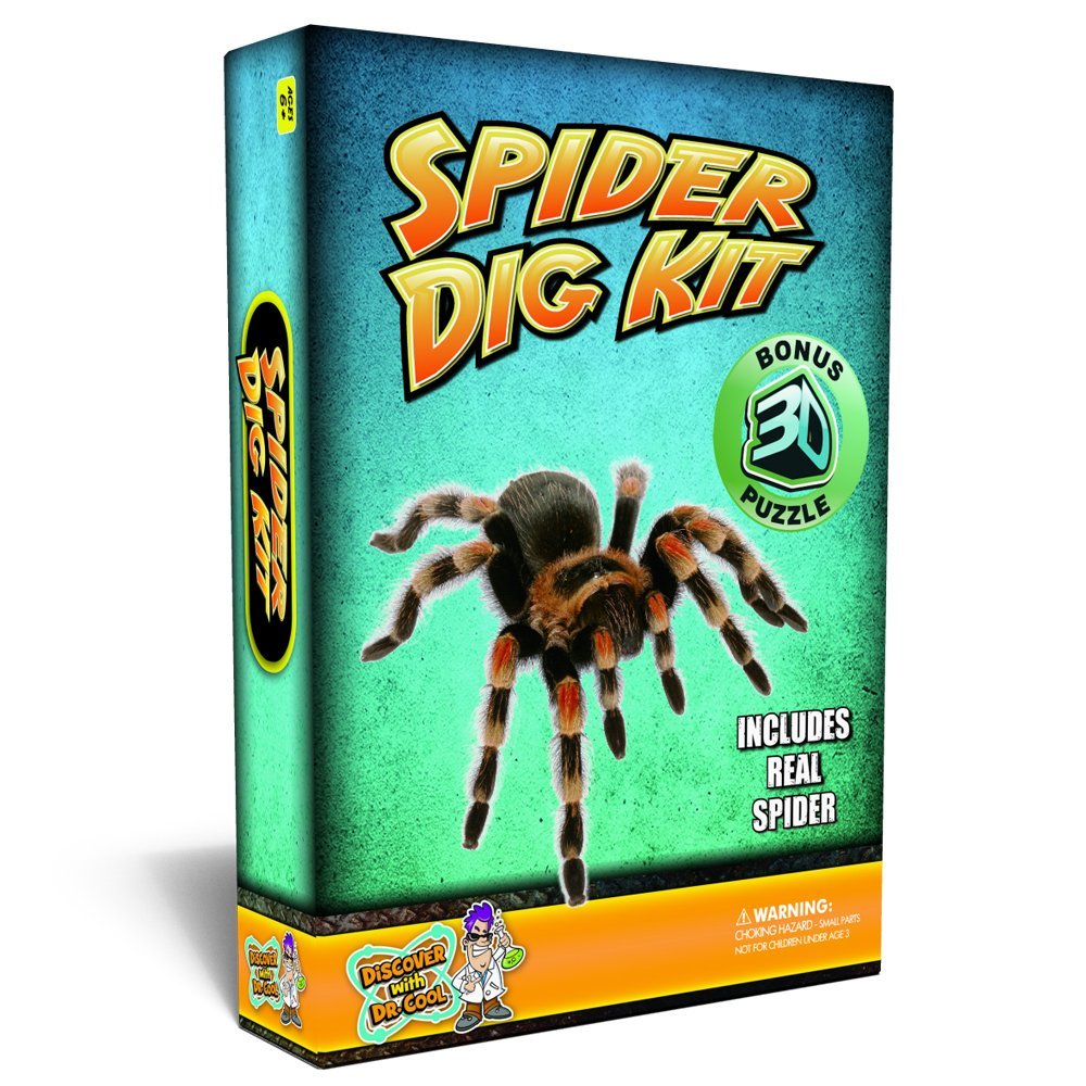 Spider Dig Kit