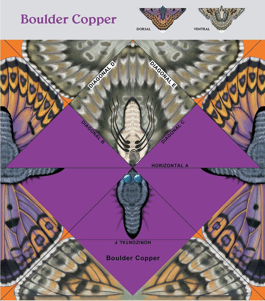 Easy Butterfly Origami