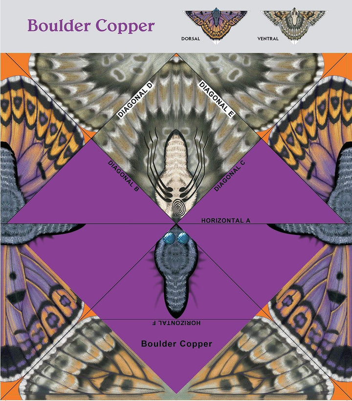 Easy Butterfly Origami