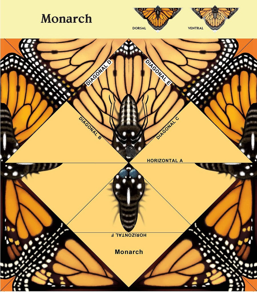 Easy Butterfly Origami