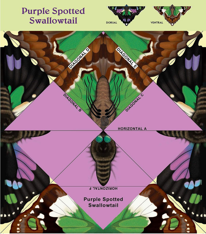 Easy Butterfly Origami