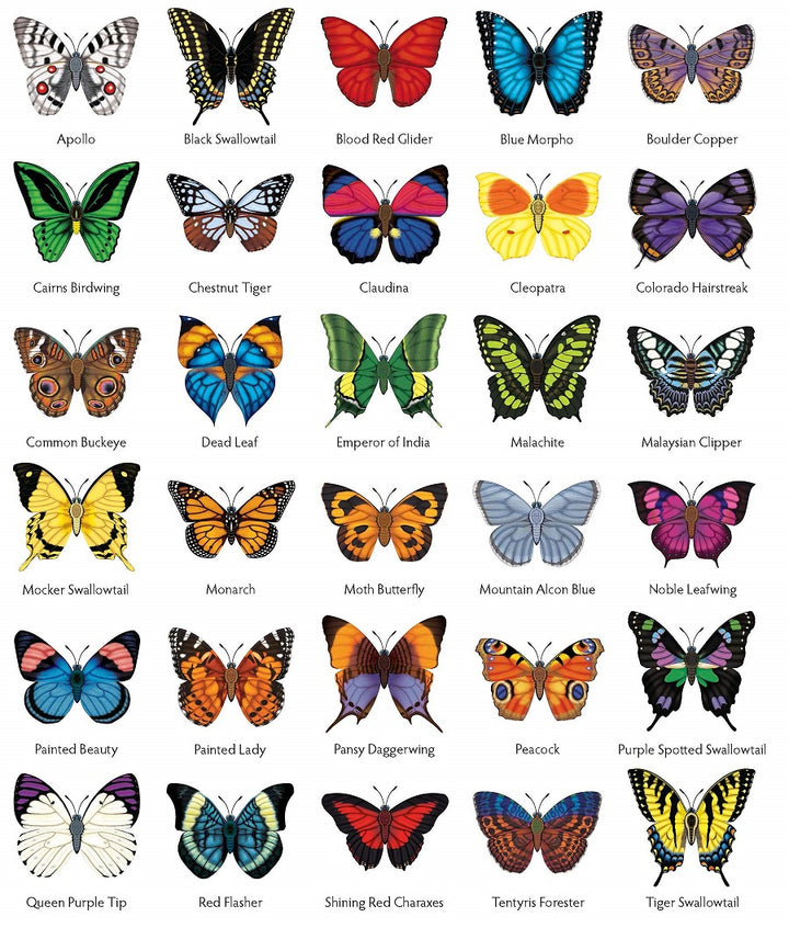 Easy Butterfly Origami