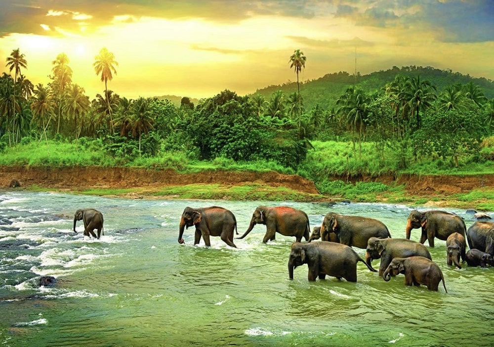 1000 PC Rainforest Elephants Puzzle completed