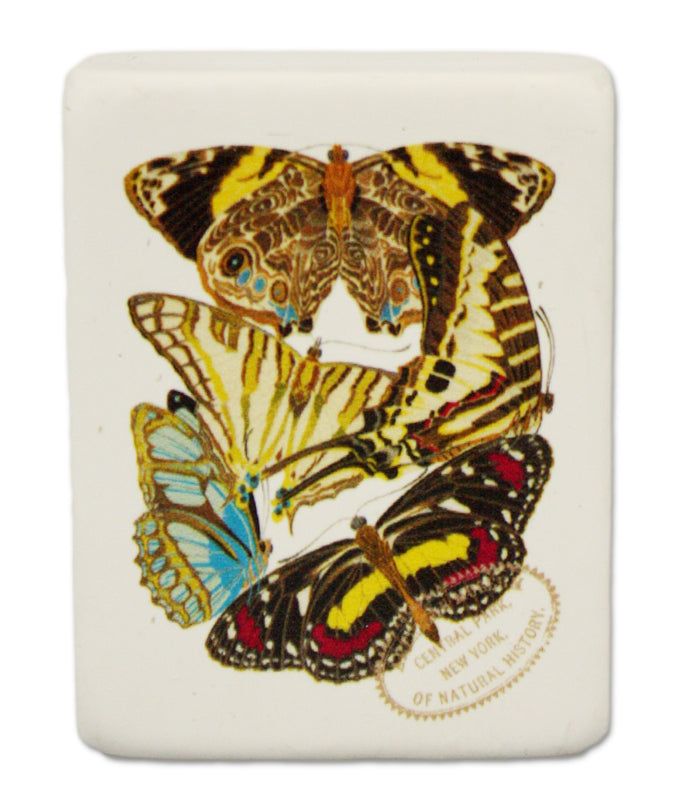 Butterfly Eraser