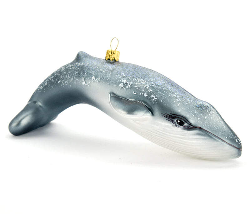 AMNH Exclusive Blue Whale Ornament