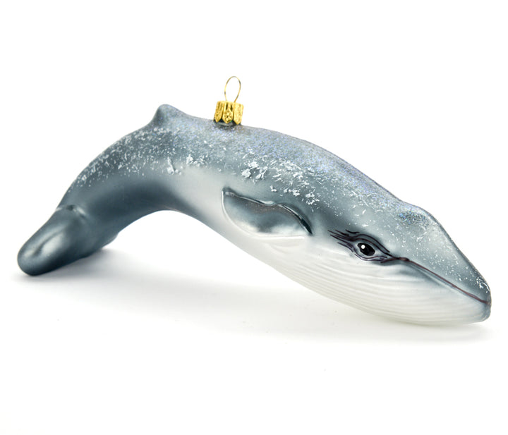 AMNH Exclusive Blue Whale Ornament